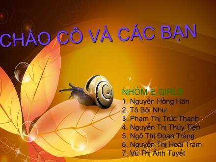 Bài thuyết trình Đánh giá rủi ro con người đối với ô nhiễm As và kim loại nặng ở những mỏ kim loại bỏ hoang, hàn