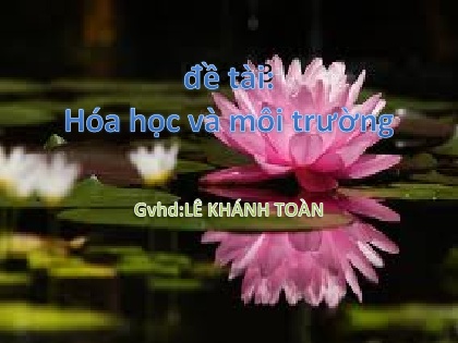 Bài thuyết trình Hóa học và môi trường