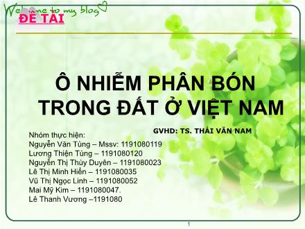 Bài thuyết trình Ô nhiễm phân bón trong đất ở Việt Nam