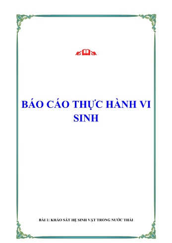 Báo cáo Thực hành vi sinh