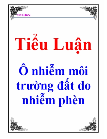 Tiểu luận Ô nhiễm môi trường đất do nhiễm phèn